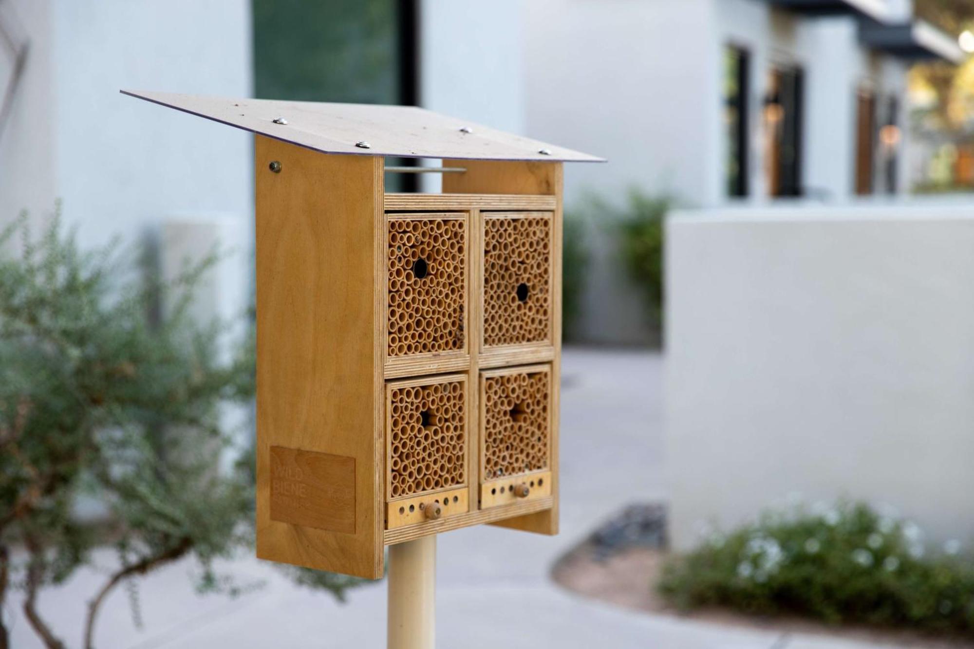 Andaz Scottsdale Resort & Bungalows Buitenkant foto