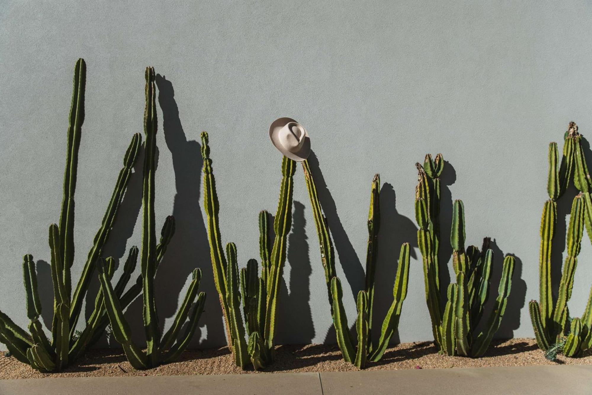 Andaz Scottsdale Resort & Bungalows Buitenkant foto